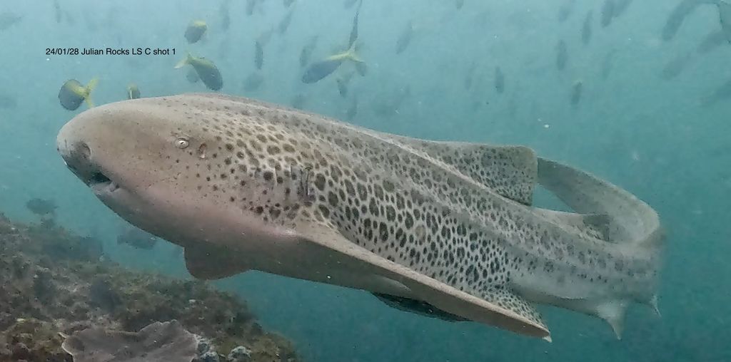 0fe94eda-f944-4ac2-b006-76e240ac5079