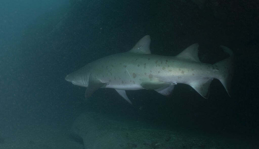 88347eed-bb4f-4517-9a0b-ad9a88e69581