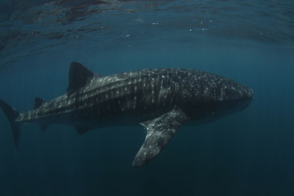 489a1800-543e-4288-ab01-e0defbb3575b