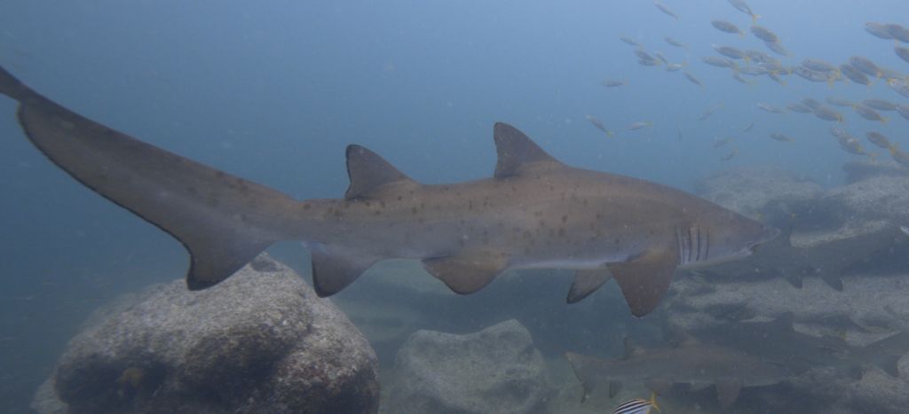 576b41e2-41dc-489d-8a64-5ecec65d719f