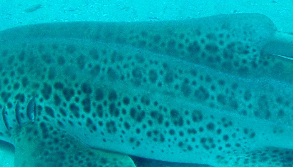 ce1aea92-4b24-4719-a7be-2b07f78b1203