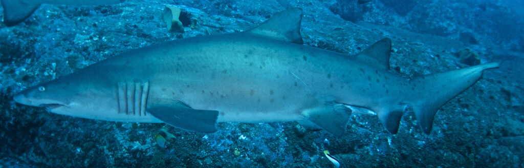 ada0ef3d-344a-4615-bfdf-4b5d148238f7