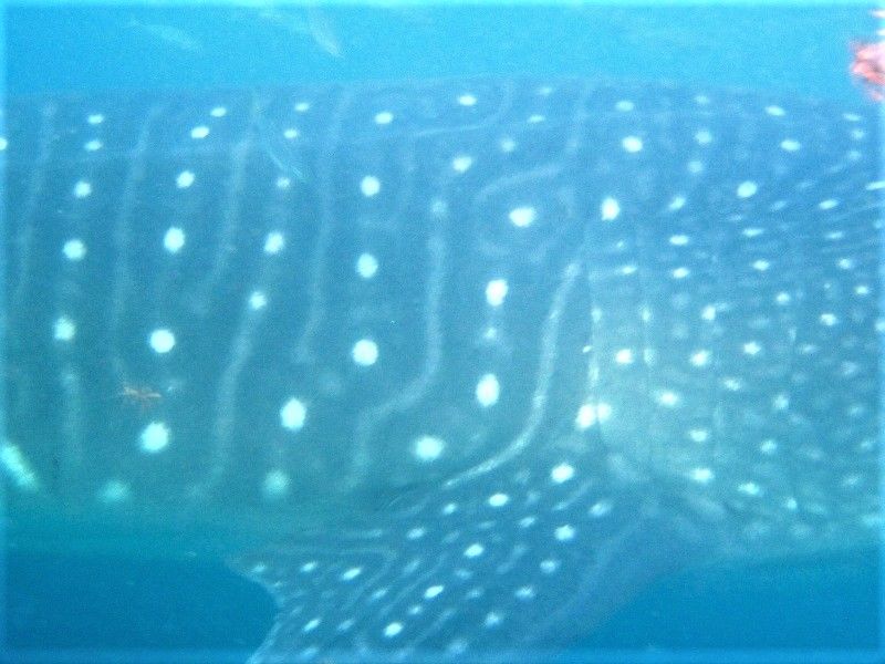 fb3968e3-1495-48a5-a8fc-fc1ac437a638