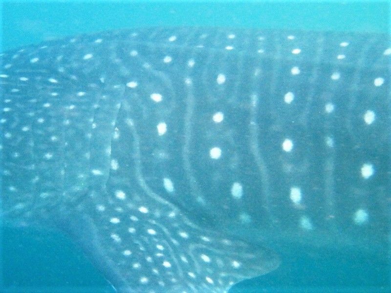 fb3968e3-1495-48a5-a8fc-fc1ac437a638