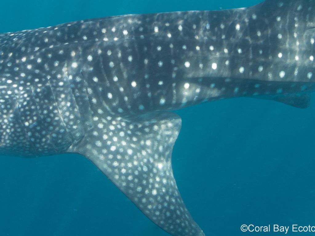 18d98005-41a3-4dfe-ae71-e11f68995621