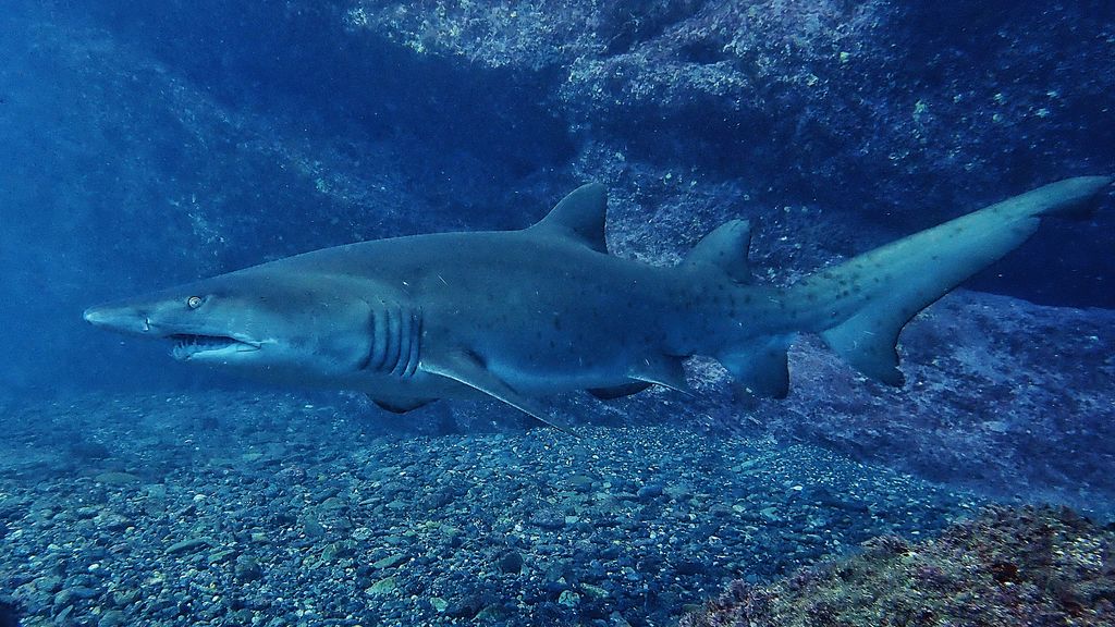 aeb0f978-4f49-4adc-bd15-761b14b27250