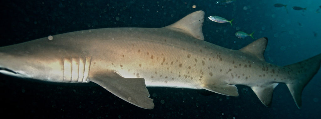 1bde0454-069a-4aa5-819a-f7fe4d3e1470