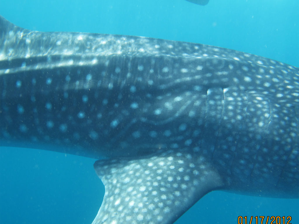 ff227211-b078-49dd-b5aa-040c45a1c6ea