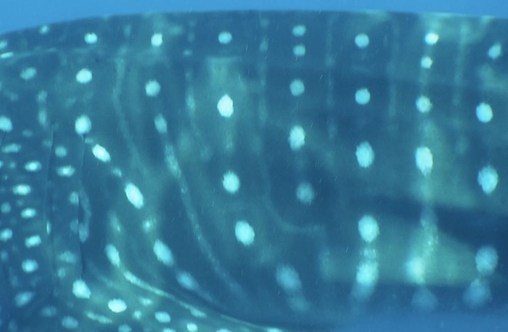 b872aa79-eeed-443e-b934-034bb55dc60c