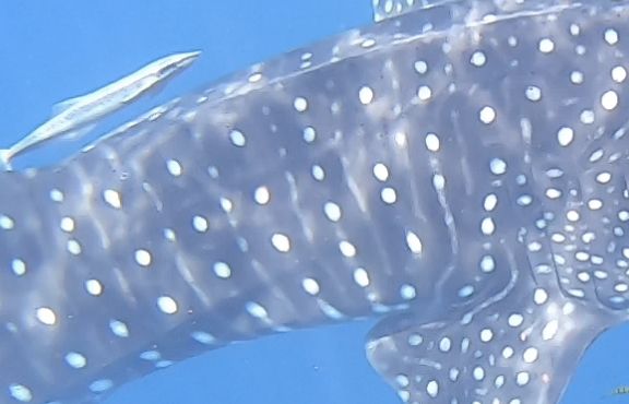 b872aa79-eeed-443e-b934-034bb55dc60c