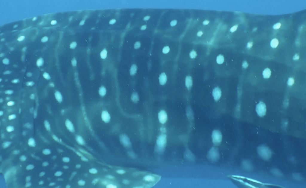 b872aa79-eeed-443e-b934-034bb55dc60c