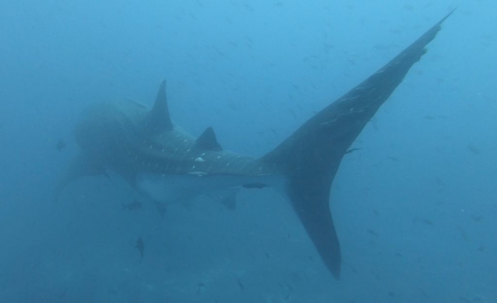 c4c5eae4-4a64-4730-b138-b0a4776792b4