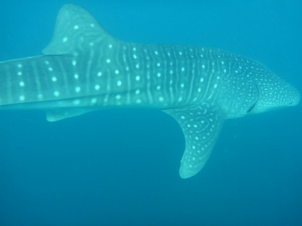 10c3dd33-569e-440f-91d2-47d39e5b0fa6