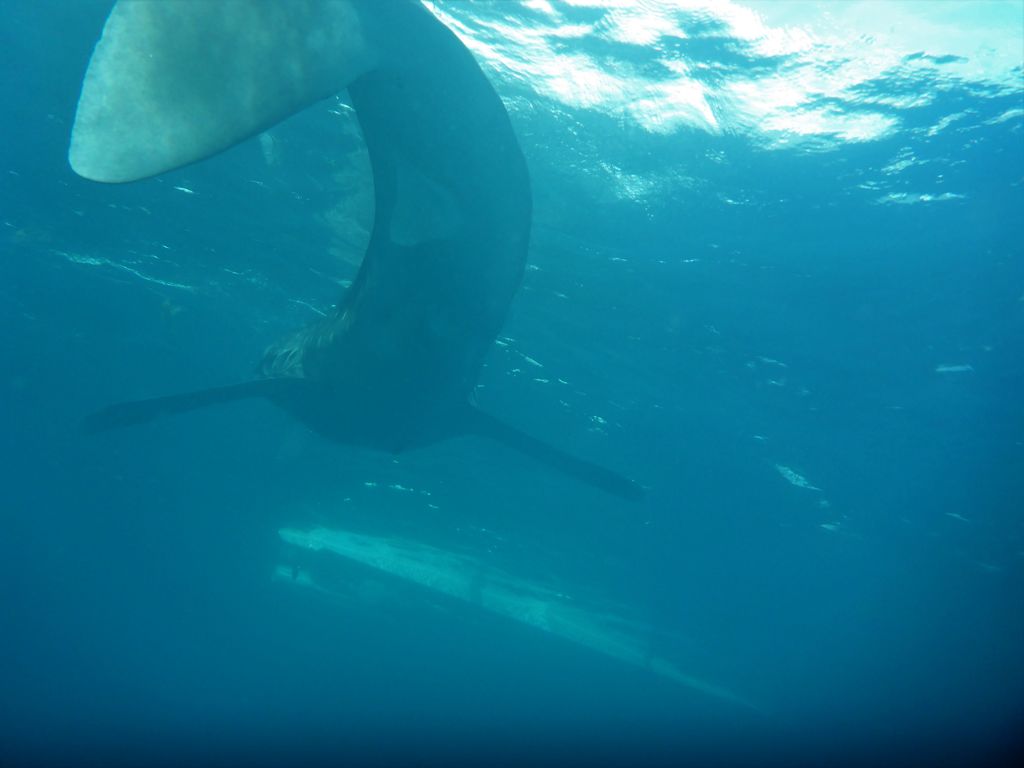 10c3dd33-569e-440f-91d2-47d39e5b0fa6