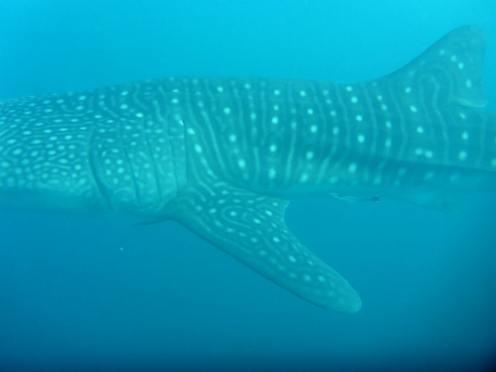 10c3dd33-569e-440f-91d2-47d39e5b0fa6