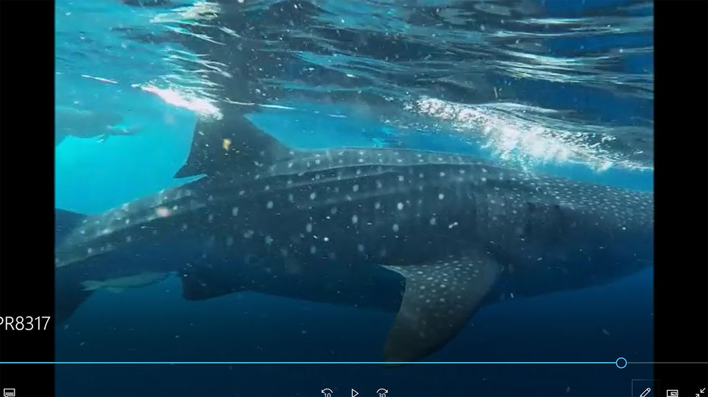 b3e49653-c405-4c48-bb37-f98ee8b7dcff