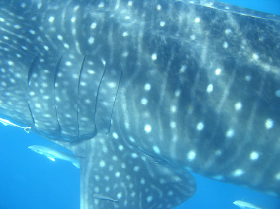 13d961b2-7145-4cea-a06b-dc758745ec04