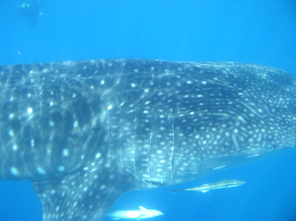 13d961b2-7145-4cea-a06b-dc758745ec04