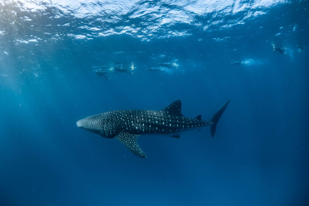 24bcbd31-4e94-4fb1-843a-0cc30ffd0b3f