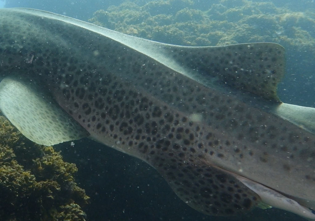 47e017f8-3f03-470b-a81c-cb28c6f390e8