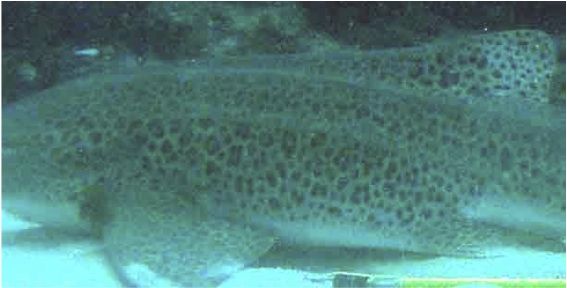 7262232b-3380-4c59-9cdf-d5f23811c38b