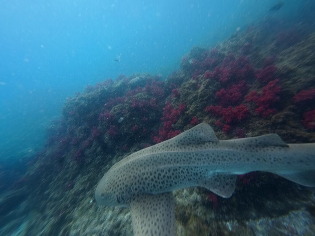 c4f39b7f-b056-431c-8f8e-b49d3ee7fb9a