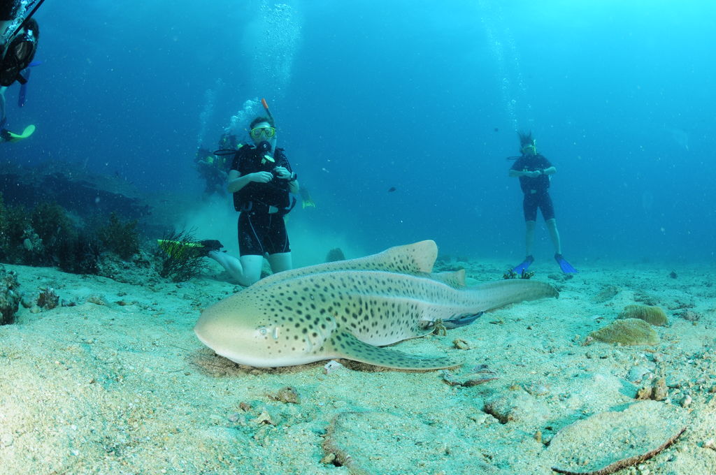 484bf732-8028-4fee-8289-253daac651fe