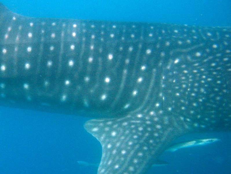 7f816a8c-9b6d-4e18-800b-aafee2efe7bb