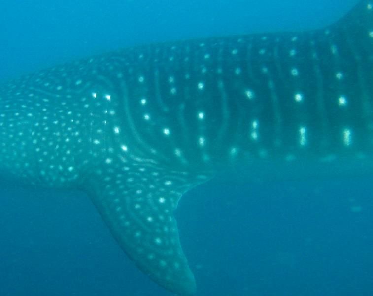 7f816a8c-9b6d-4e18-800b-aafee2efe7bb