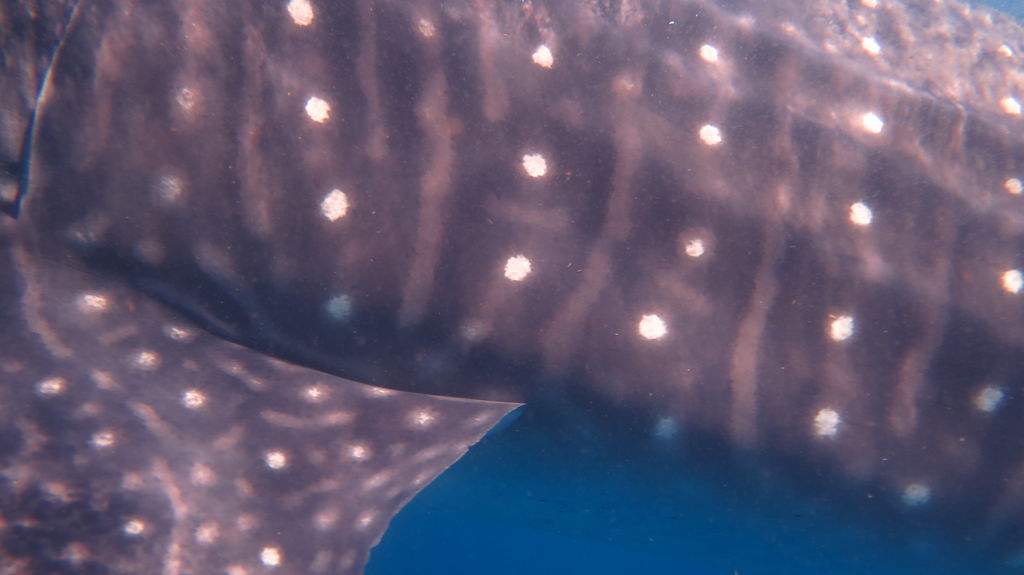 65be6c7b-395a-46c4-b957-0d5e832e62b4