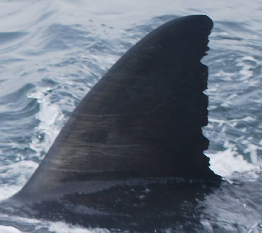 597c39d9-a519-4339-9656-59bd0130cde6