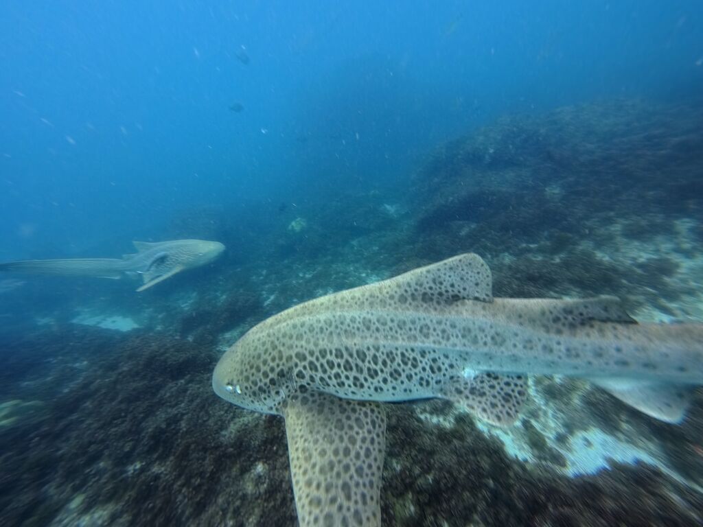 583bec27-1e01-46d2-8c31-4f0bbdb24d9b