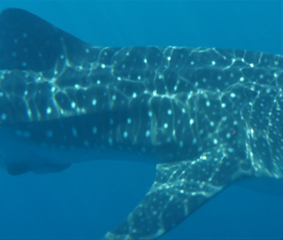 fd91ebc9-0fac-4fa8-95cf-d0fb44444a7f