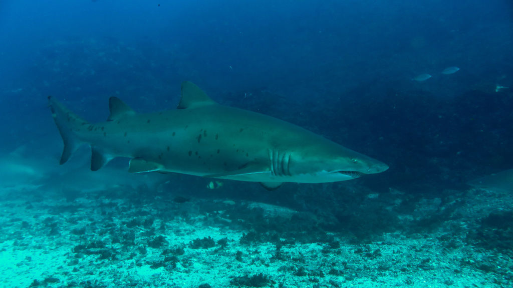 812ac54e-caea-4ea3-acdc-1cb1c2851696