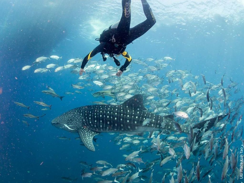 0f28350d-13a4-4f78-a81b-7f68b92129d1