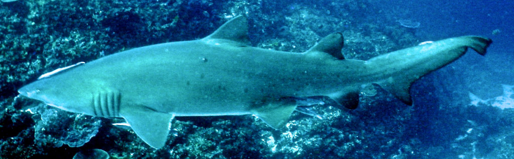 4d6036ea-37ac-465f-95f0-1355a8893b64