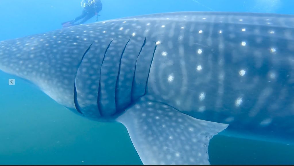 ebfbb74f-922e-4c5c-a761-215afbd461b3