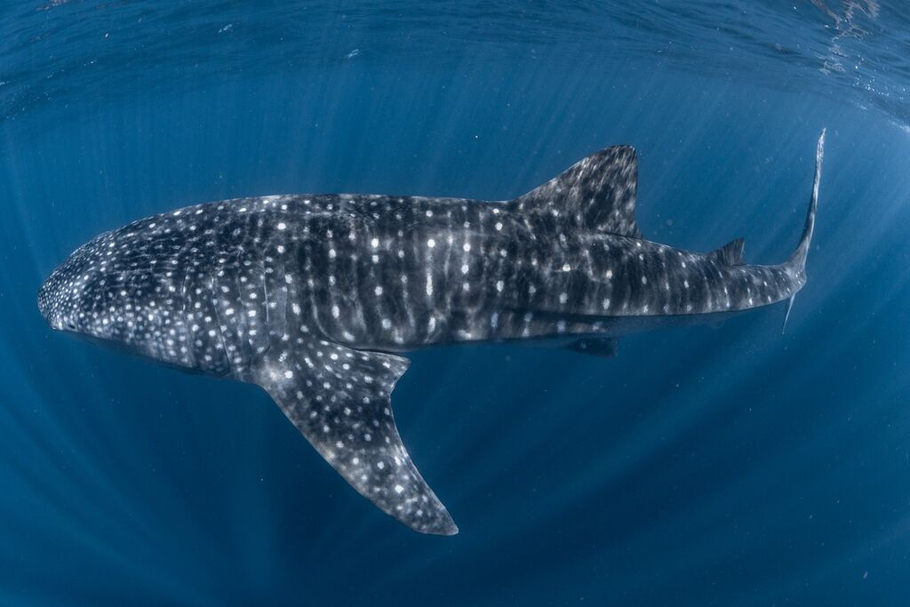 0e79fdc0-a790-48fb-984d-3405b0b74998