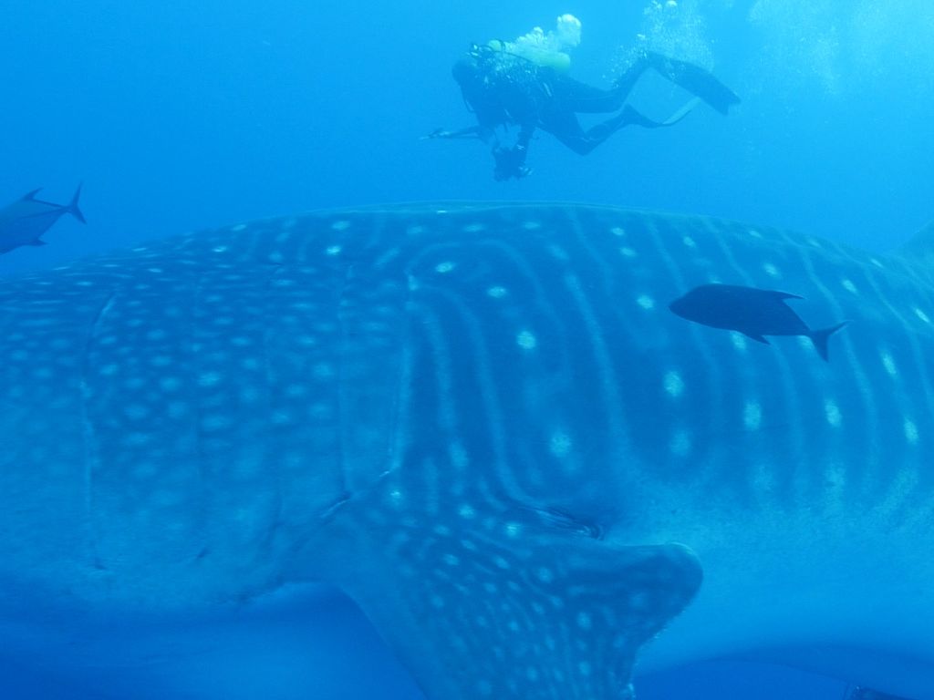 7e852ccc-45e0-43a5-af6b-e971ef59fe80