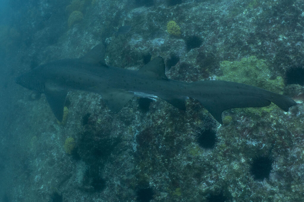 461ed7b6-4359-4f4c-bcfd-33fe084e70b7