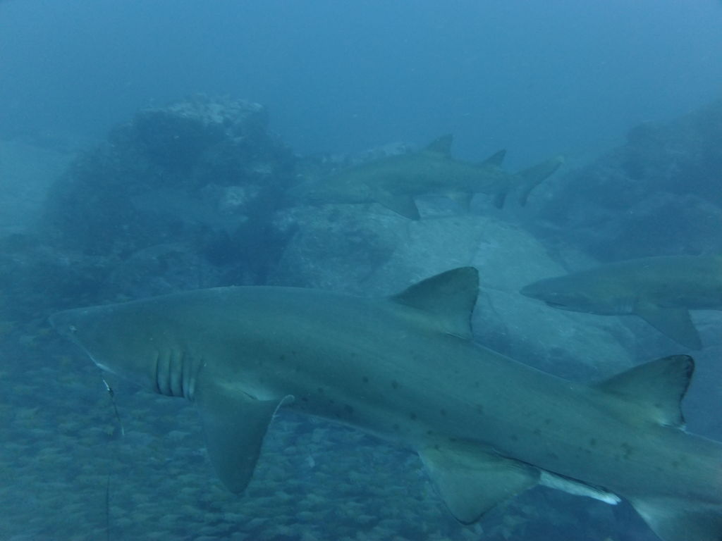 7ecc17cb-1e84-4f56-a871-23bf9b466afa