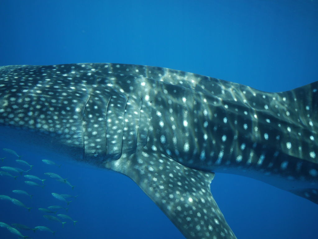 b3c0910f-e066-47cc-9078-28af242d6b57