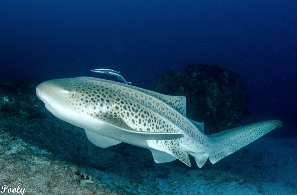 b9609171-24f8-4a67-92bf-9c366a62b0d2