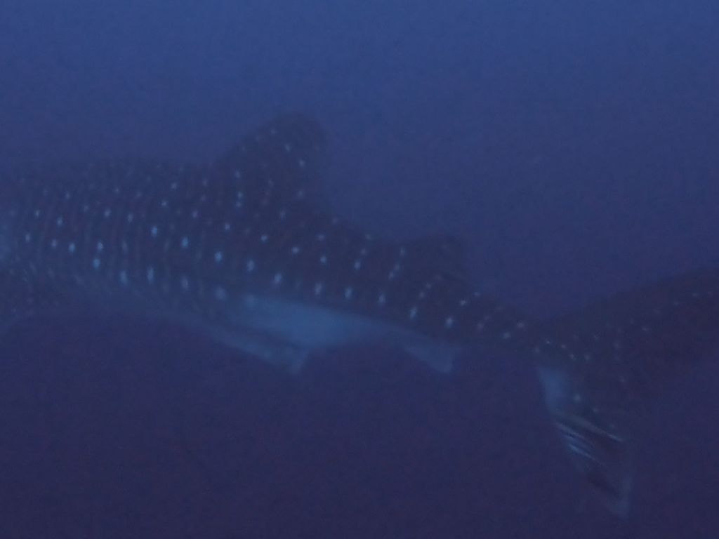 d49d77f1-9b07-4650-98fc-49d17fb79d44