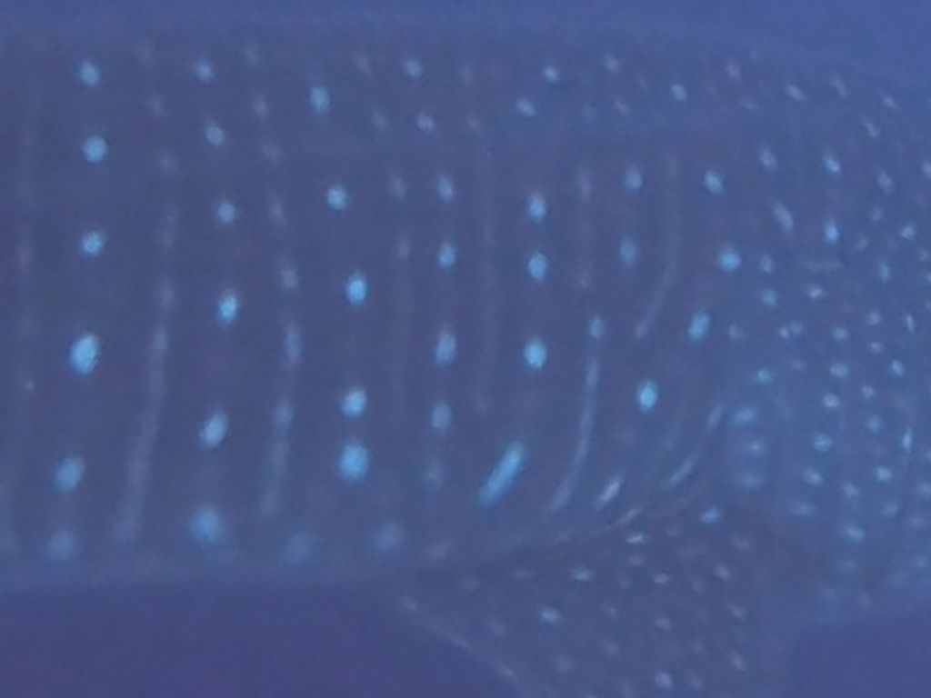 d49d77f1-9b07-4650-98fc-49d17fb79d44