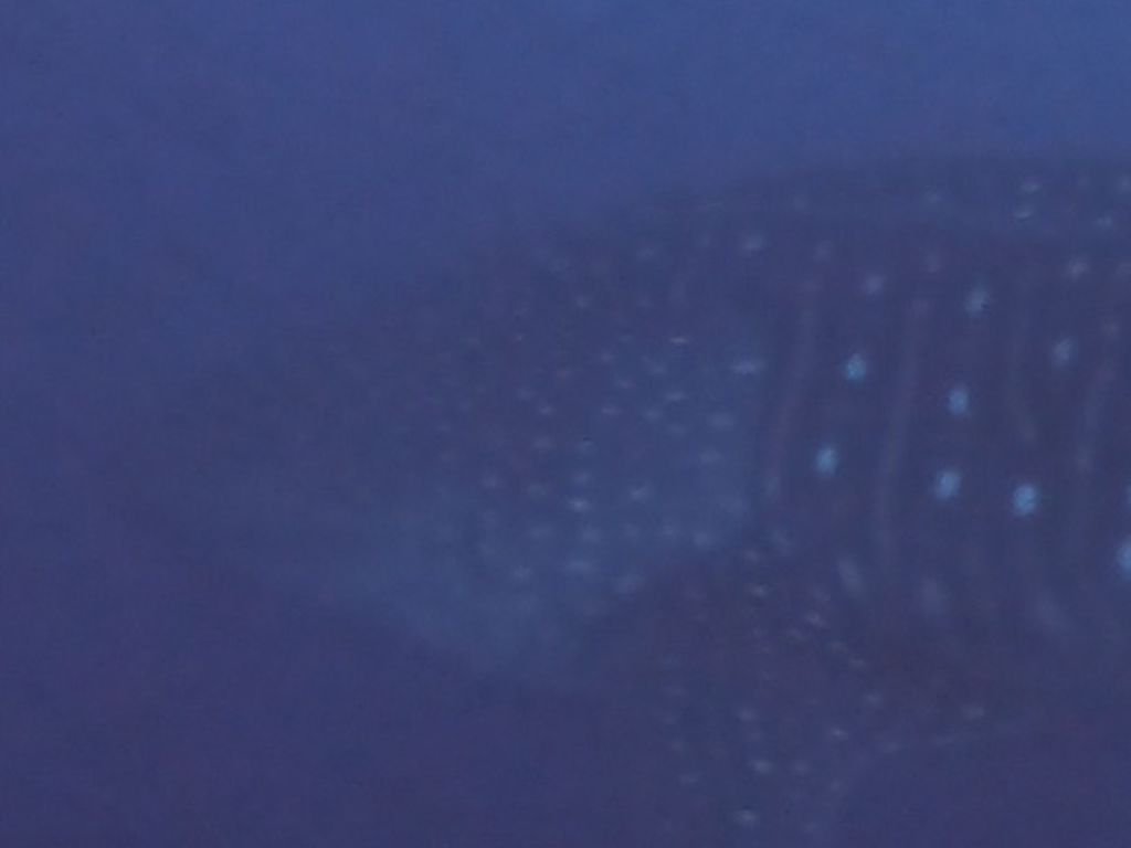 d49d77f1-9b07-4650-98fc-49d17fb79d44