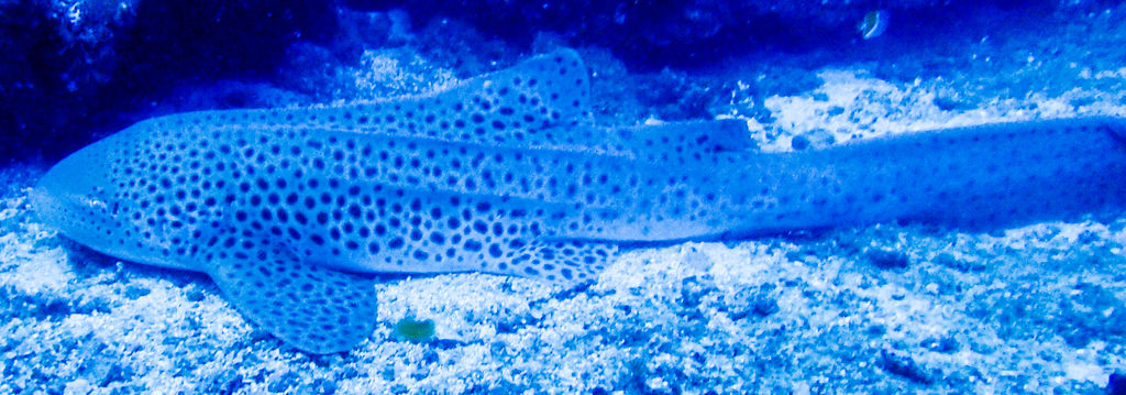 51718d88-6aff-442a-807b-3b7b98f4d81f