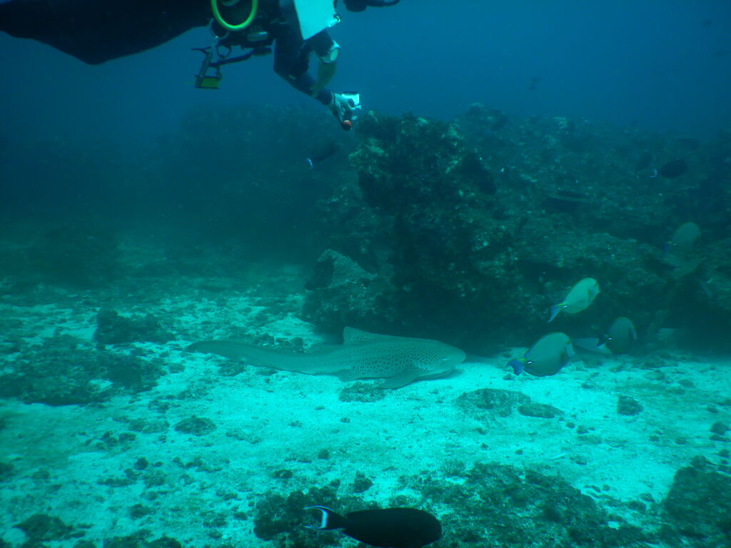 1e2540fe-8b89-407c-8d34-b9b0ceb38e6e