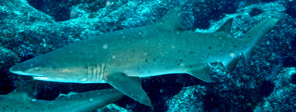 9b04dea8-9c50-4c09-b460-1ecb760cd504