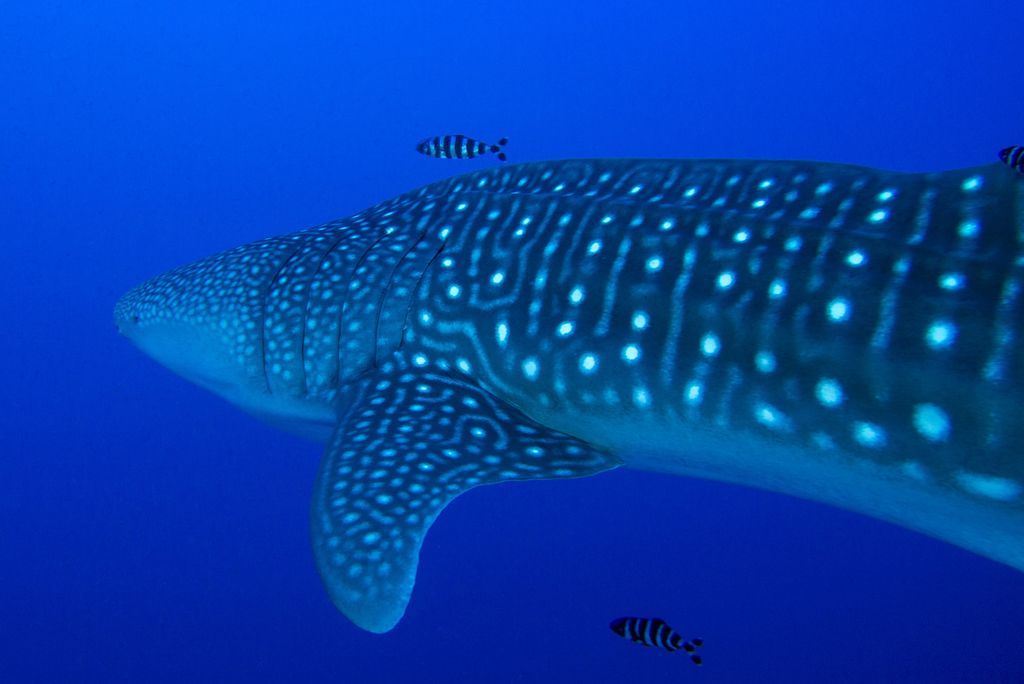 38398800-492d-4cc1-be6d-7cf0a79cab1e